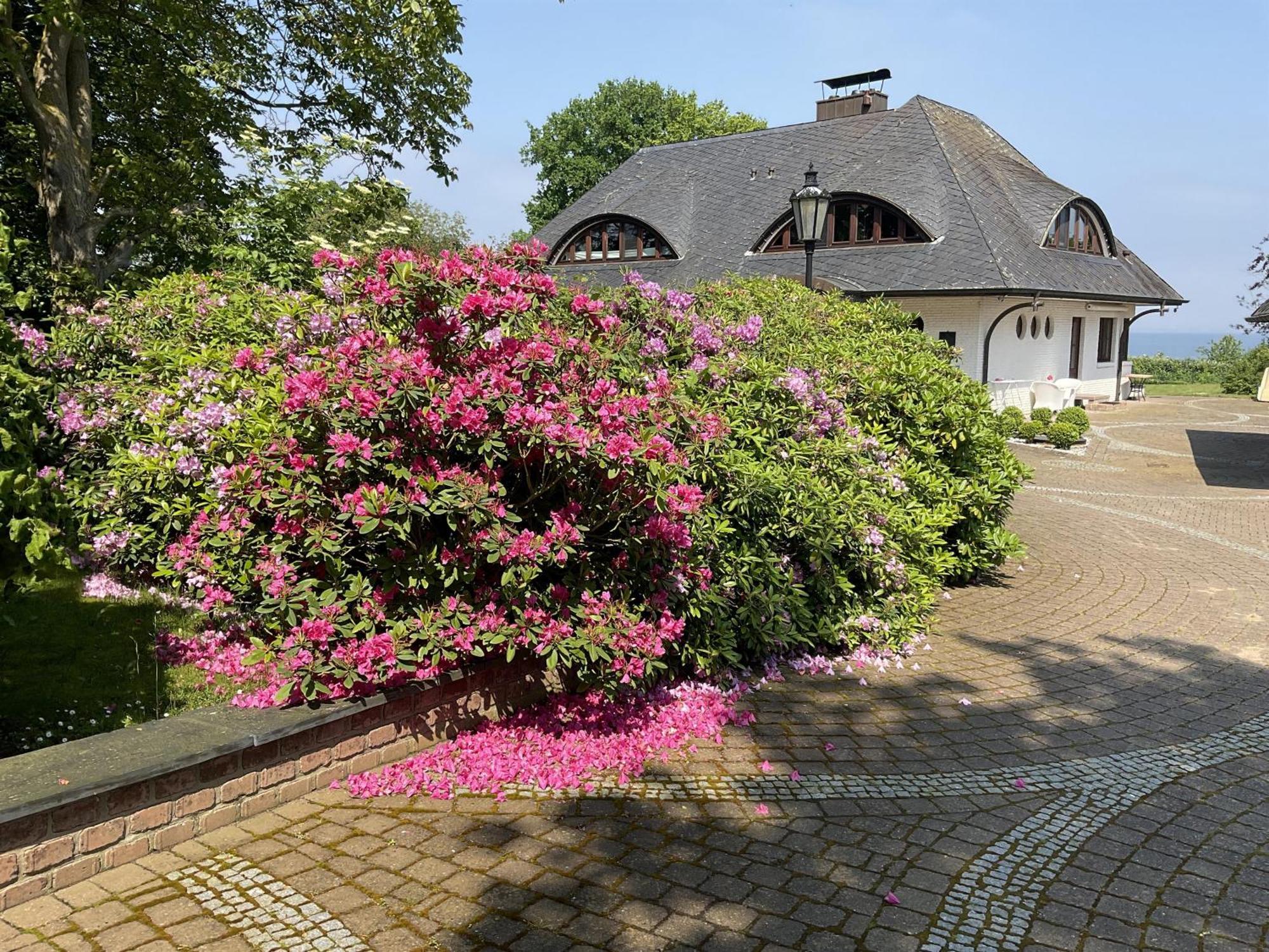 Apartment Meerblick-ostsee *