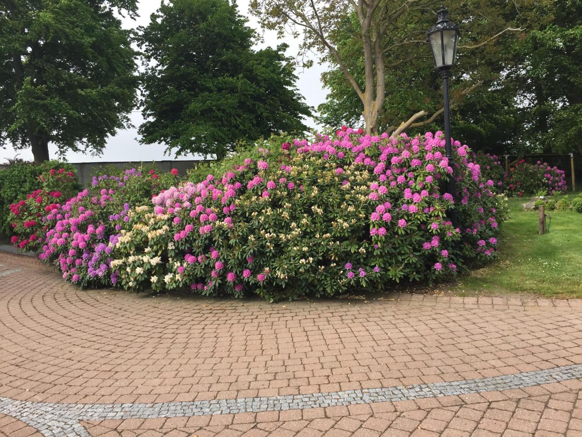 Meerblick-ostsee Lubeck
