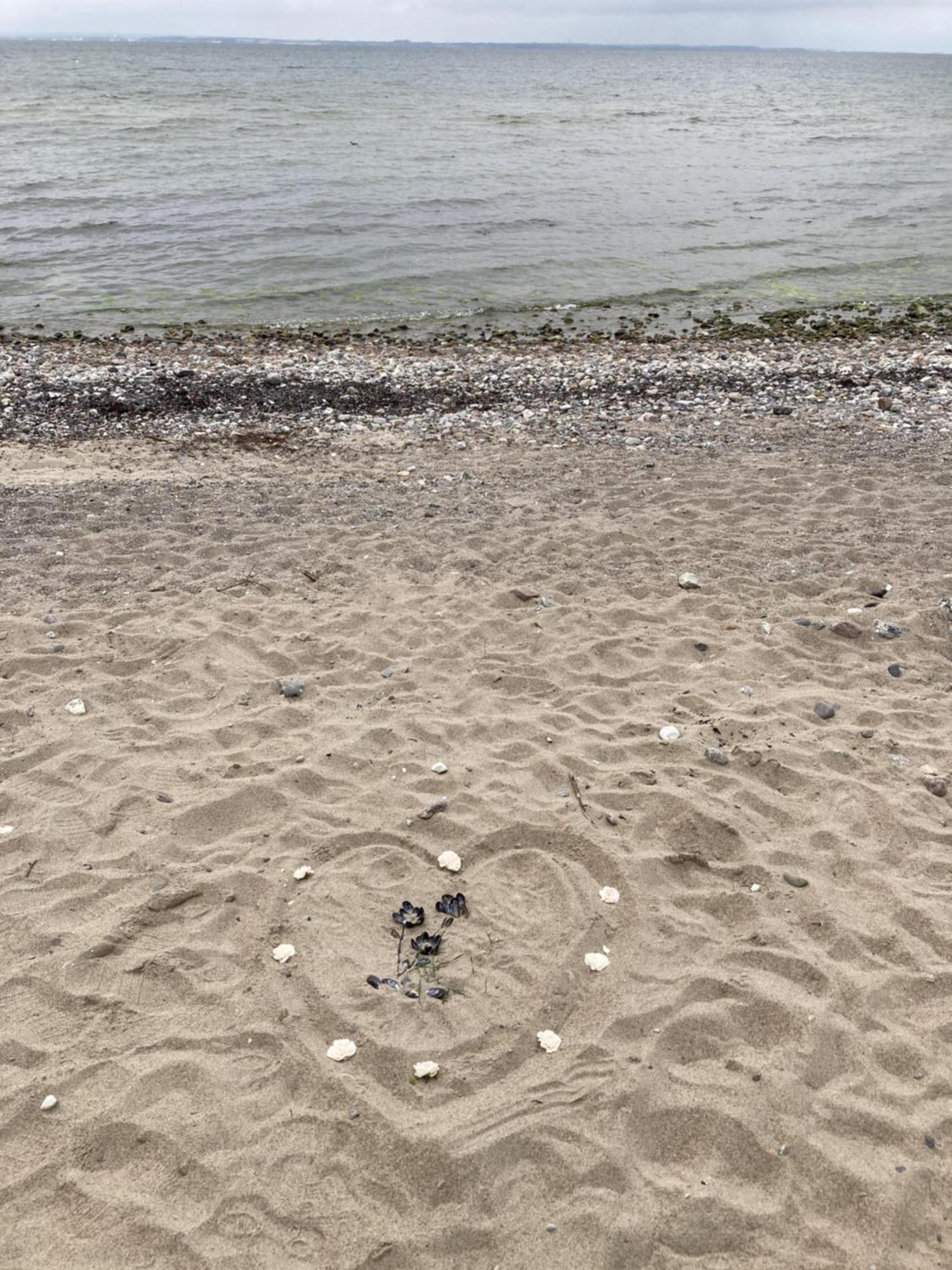Meerblick-ostsee